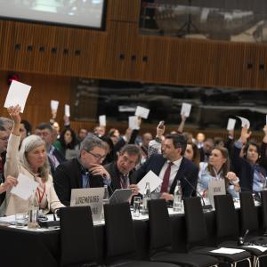 En séance plénière, l'Assemblée parlementaire a adopté deux déclarations. Certains termes ont fait débat.