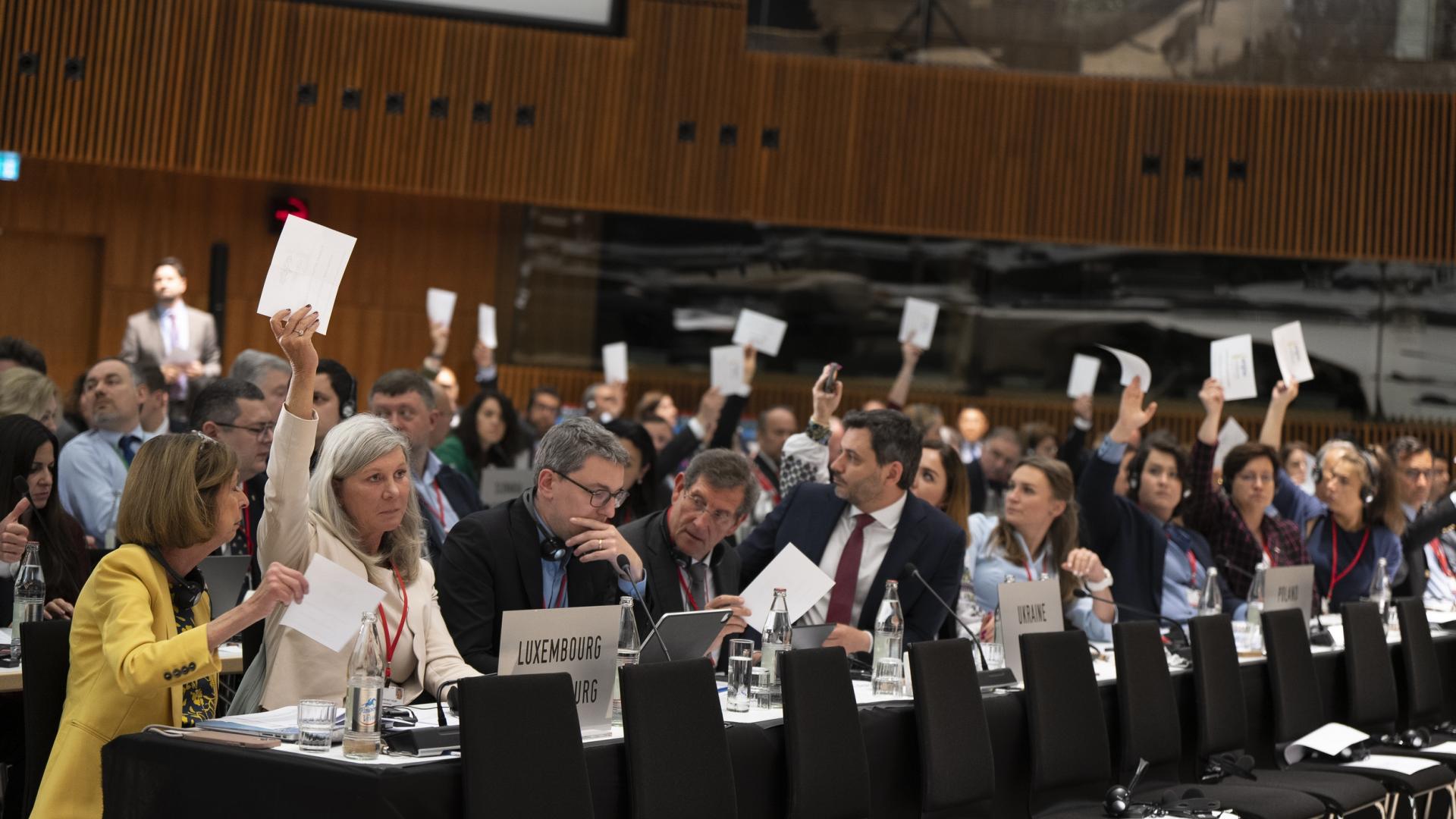 En séance plénière, l'Assemblée parlementaire a adopté deux déclarations. Certains termes ont fait débat.