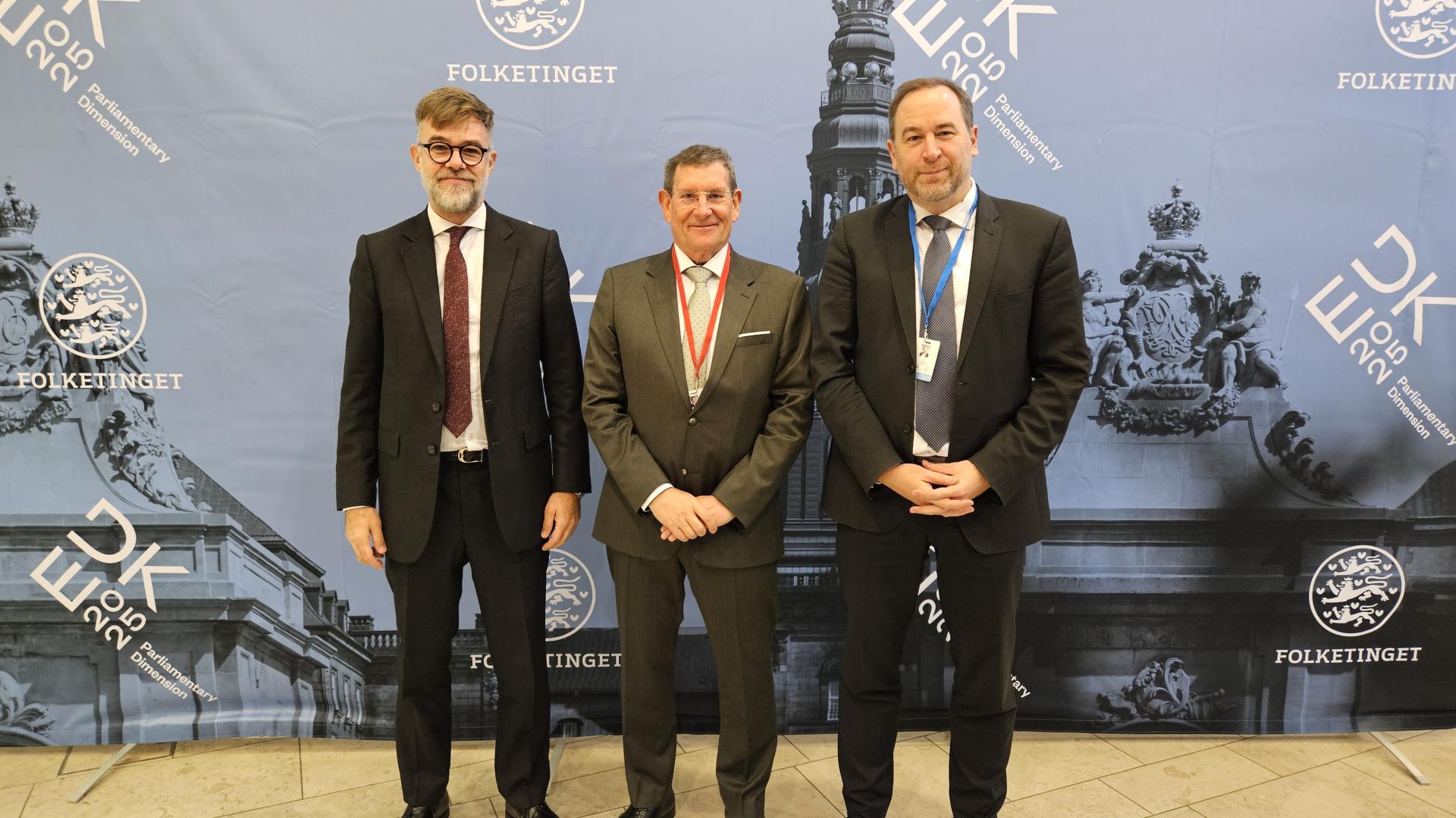 COSAC plenary - Copenhague